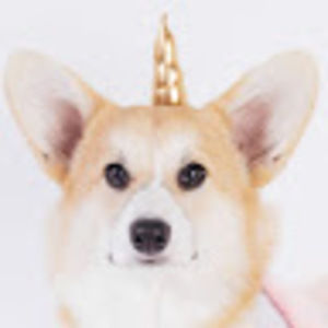 Meet your Posher, Ilara